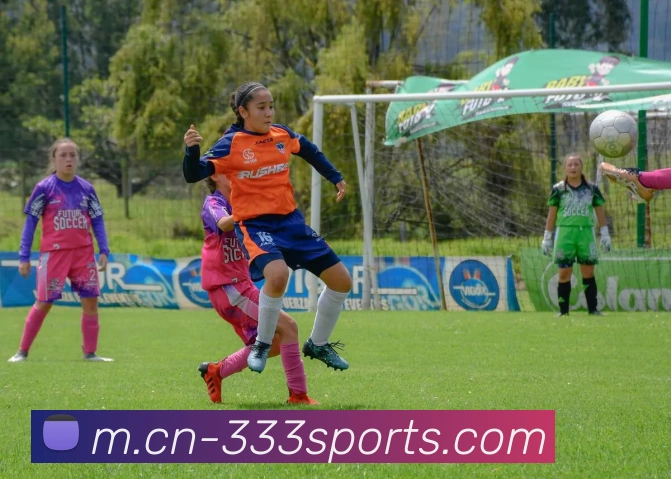 体育下注发展历程