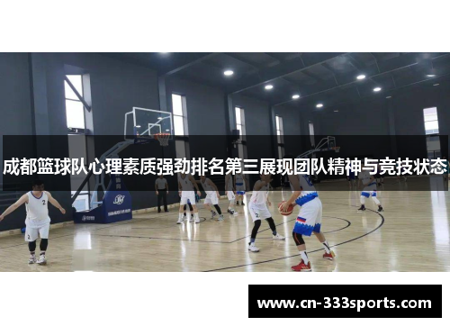 成都篮球队心理素质强劲排名第三展现团队精神与竞技状态