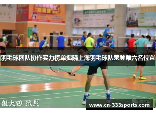 羽毛球团队协作实力榜单揭晓上海羽毛球队荣登第六名位置